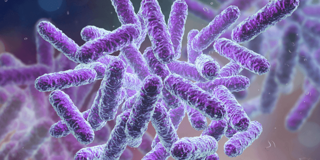 1hysRPDVt9WRwkhTt4Q4Cx4L